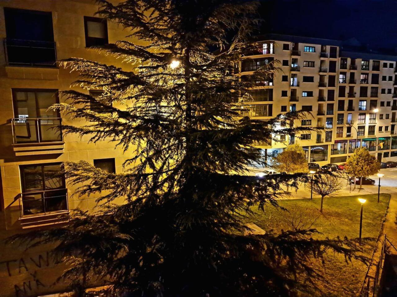 Apartamento Puente Romano コマルカ・デ・オウレンセ エクステリア 写真